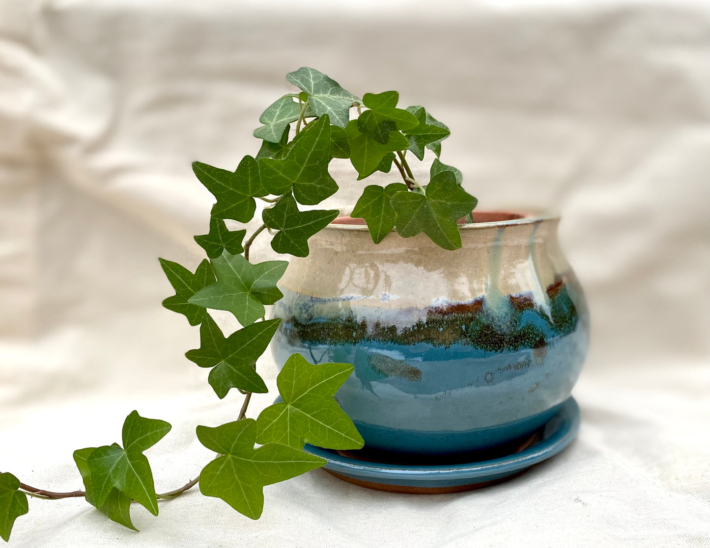 Planter (with drainage holes & plate)